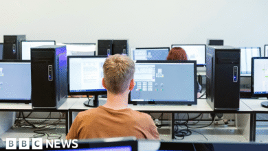 يقول هيئة الرقابة إن معظم المتسللين في المدارس يهتمون بهما تلاميذ خاصين