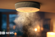 “إنها ضرورية” – كيف تتطور أجهزة كشف الدخان