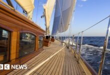 تبحث صناعة اليخوت عن بدائل لخشب الساج