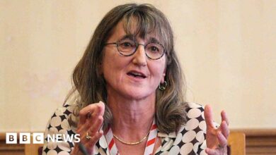 يقول أحد الناشطين في مجال السلامة عبر الإنترنت إن ستارمر “يرضي” شركات التكنولوجيا الكبرى