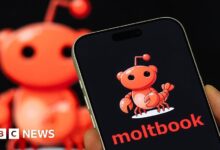 ما هي “شبكة التواصل الاجتماعي للذكاء الاصطناعي” Moltbook؟