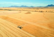 التكنولوجيا الآن