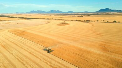 التكنولوجيا الآن