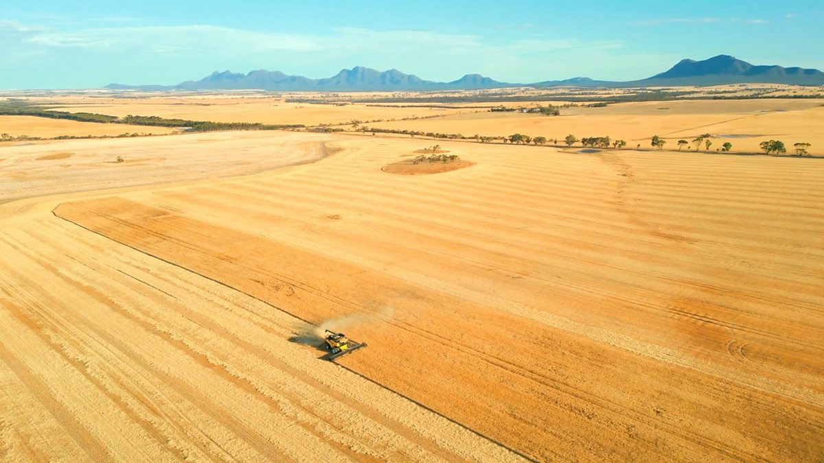 التكنولوجيا الآن