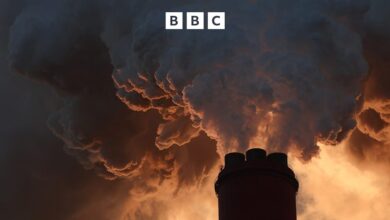 الحياة التقنية – تقديم الملوثين إلى المحكمة