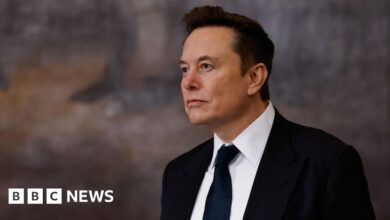 ملفات SpaceX للاكتتاب العام قد تجعل Elon Musk تريليونيرًا